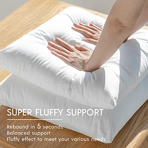 Phantoscope Square Decorative Pillow Inserts Phantoscope Square Decorative Pillow Inserts